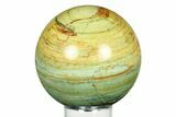 Gary Green Jasper (Larsonite) Bog Wood Sphere - Oregon #299288-1